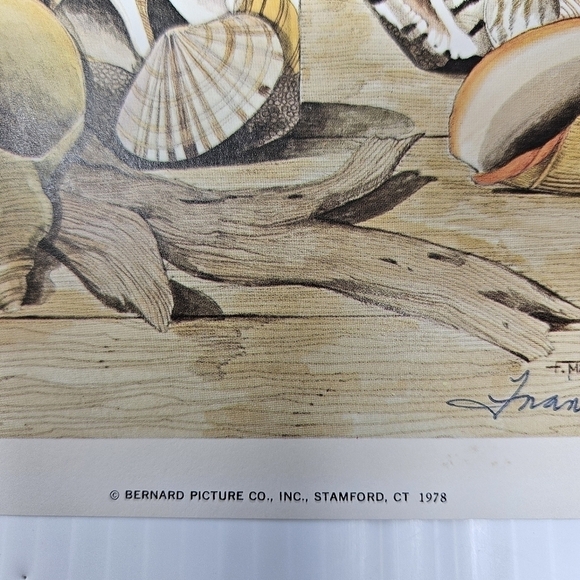 Vintage Beach Seashells Art Print Artist Signed Frank Massa 1978 The Guild NY - Picture 10 of 13